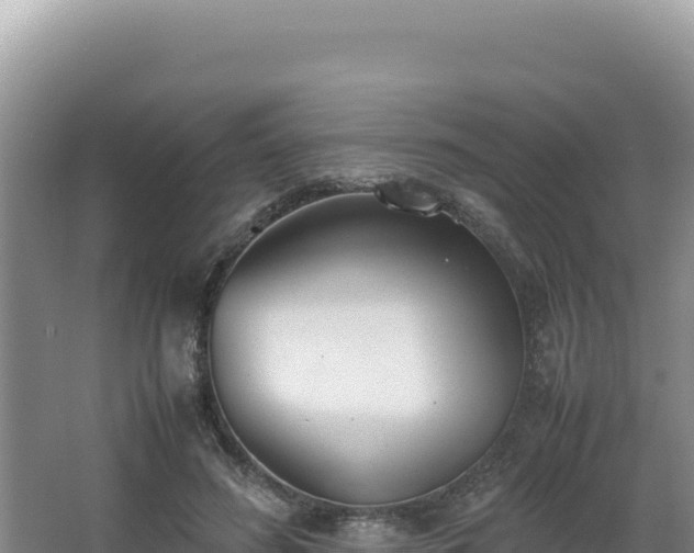 X0000062850596200601171513