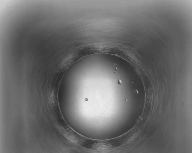 X0000062850597200601171513