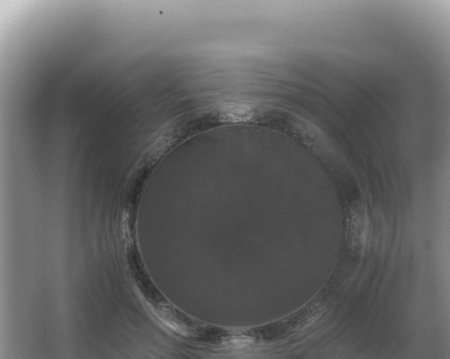 X0000062850598200601171513