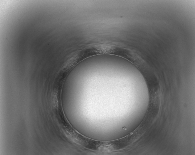 X0000062850599200601171513