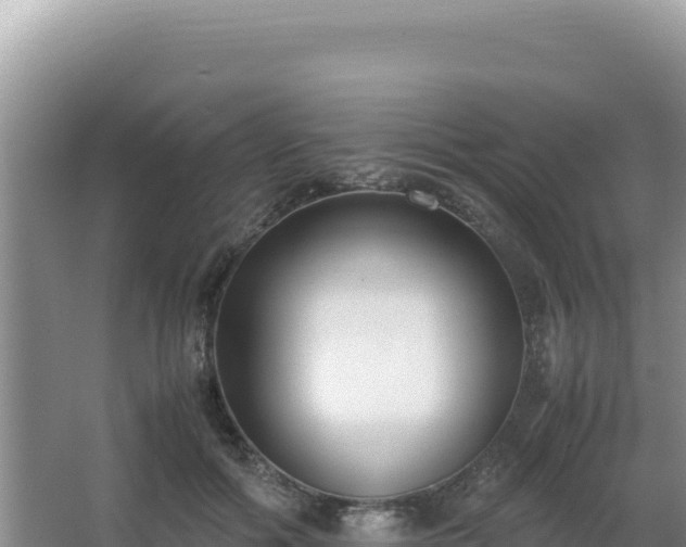 X0000062850602200601171513