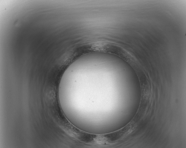 X0000062850603200601171513