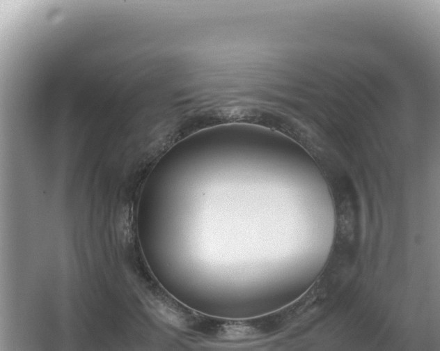 X0000062850605200601171513