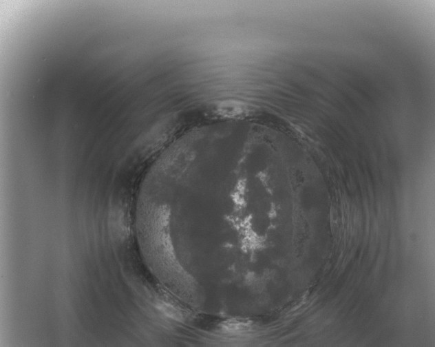 X0000062850606200601171513