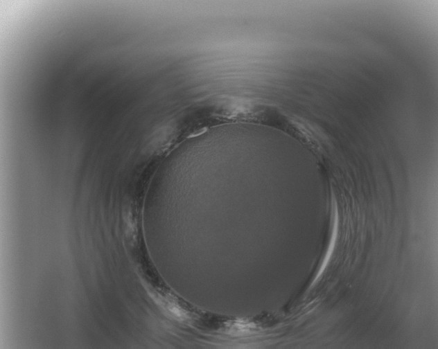 X0000062850607200601171513