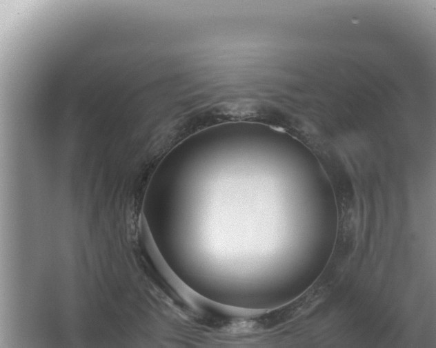 X0000062850609200601171513