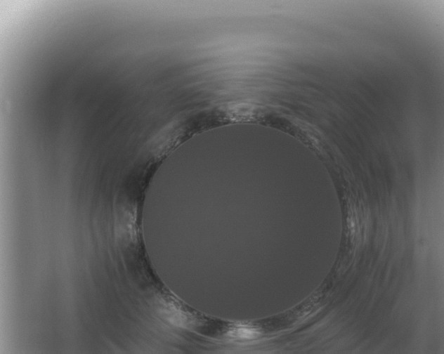 X0000062850610200601171513