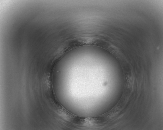 X0000062850612200601171513