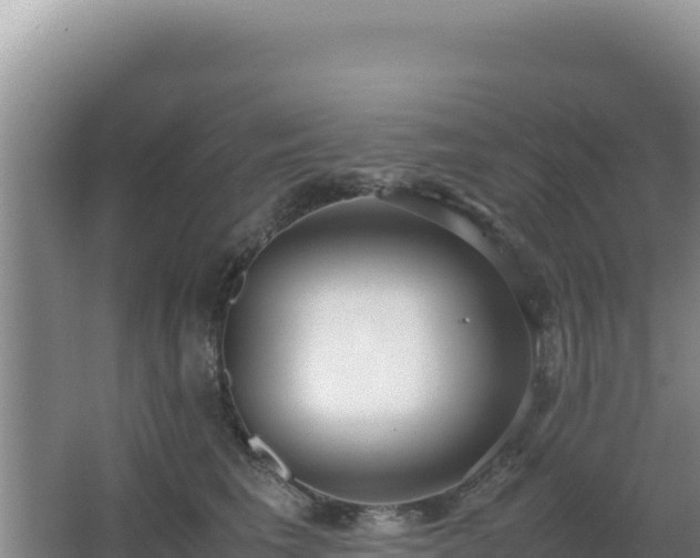 X0000062850613200601171513