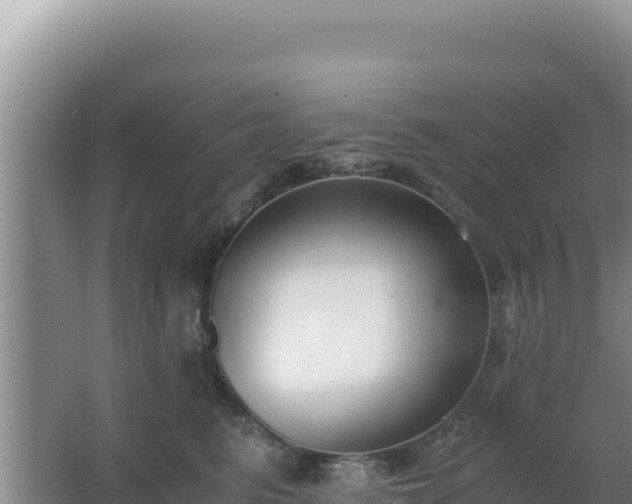 X0000062850615200601171513