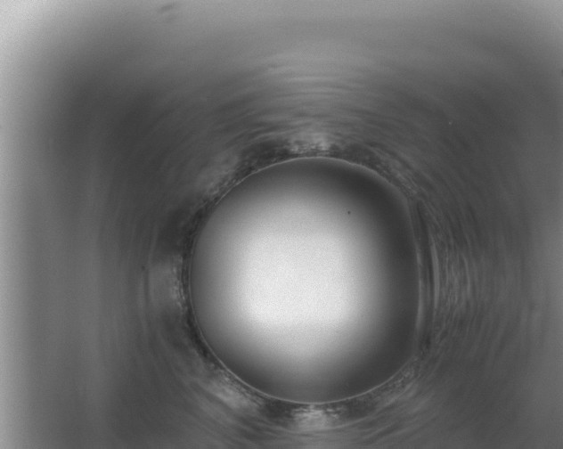 X0000062850616200601171513