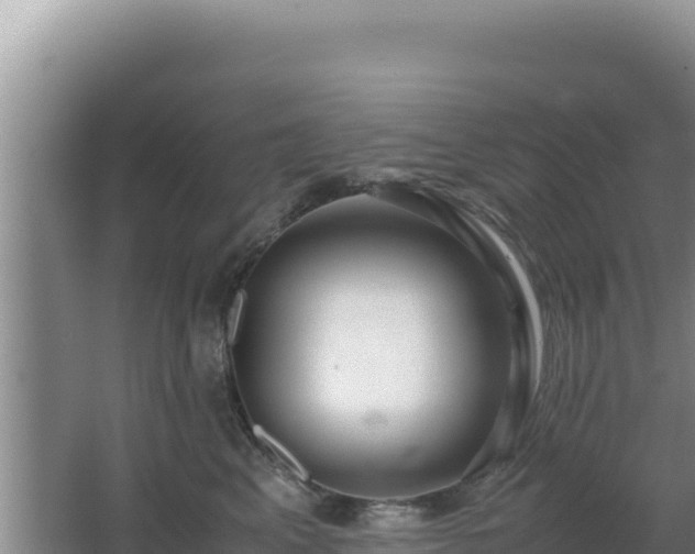 X0000062850617200601171513