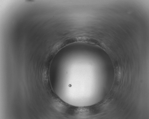 X0000062850619200601171513