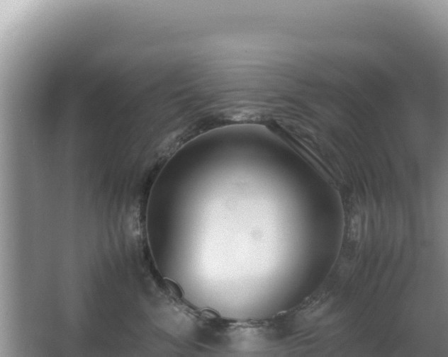 X0000062850620200601171513