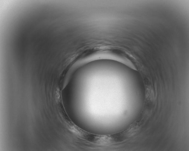 X0000062850621200601171513