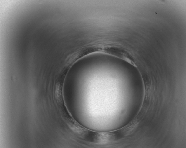 X0000062850623200601171513