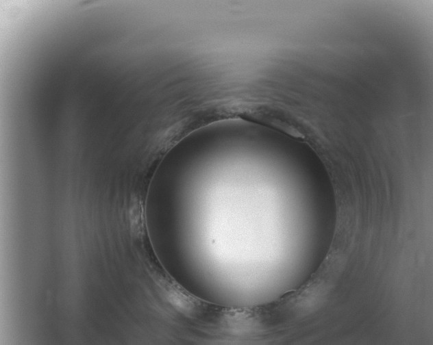 X0000062850624200601171513