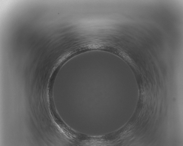 X0000062850626200601171512