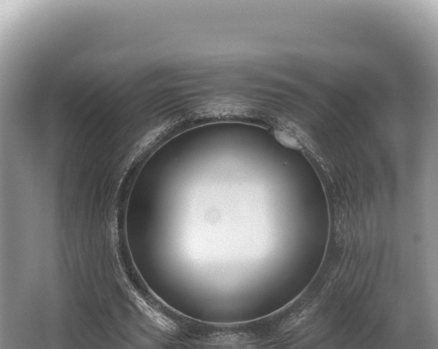 X0000062850629200601171512