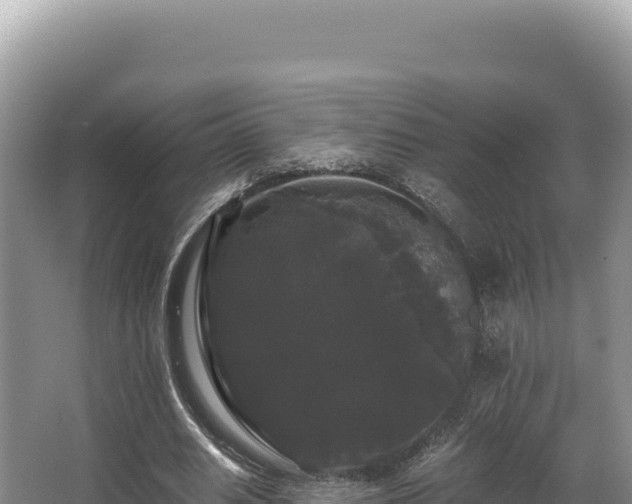 X0000062850630200601171512