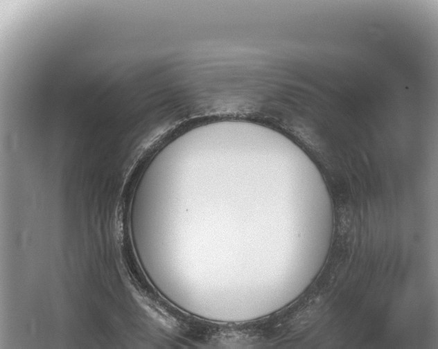 X0000062850632200601171512