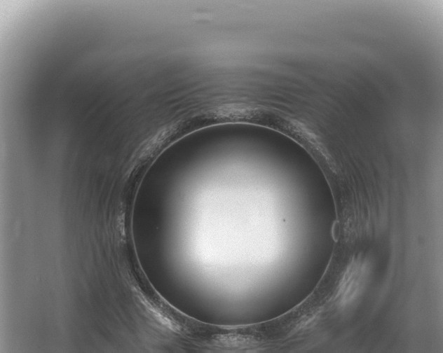 X0000062850633200601171512