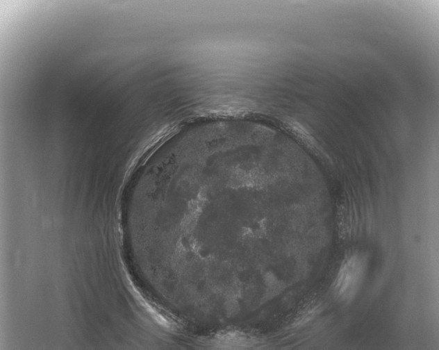 X0000062850634200601171512