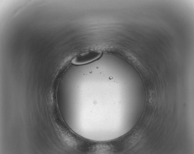 X0000062850636200601171512