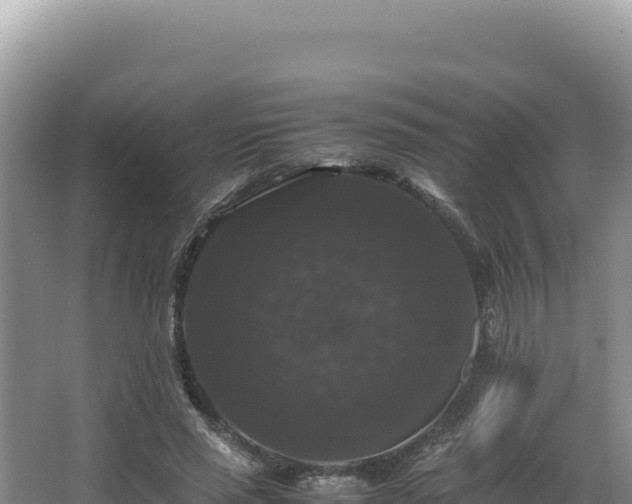 X0000062850637200601171512