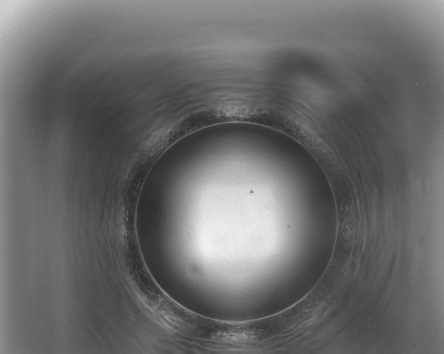 X0000062850639200601171512