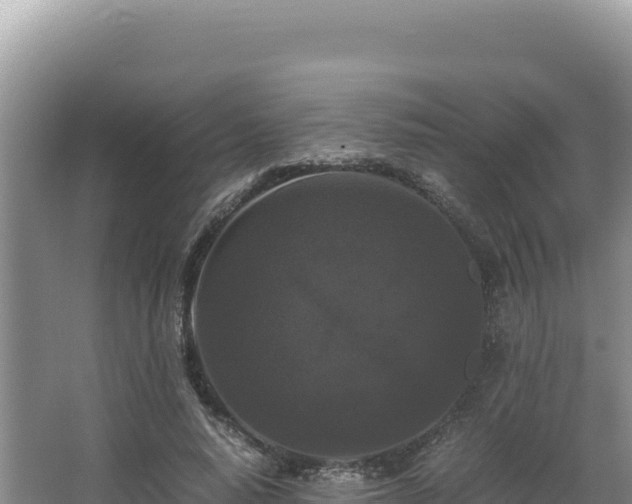 X0000062850640200601171512