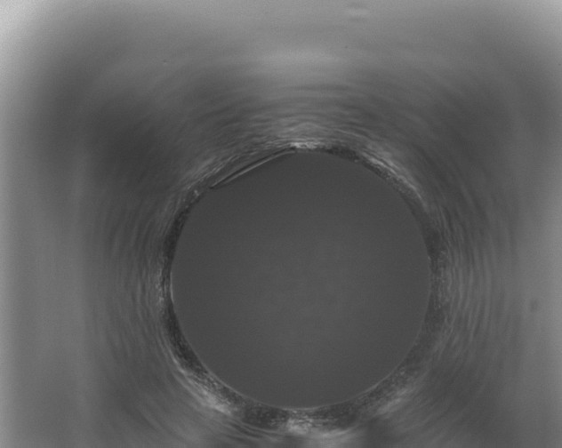 X0000062850641200601171512