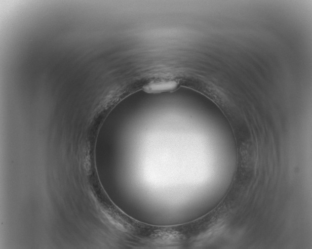 X0000062850642200601171512