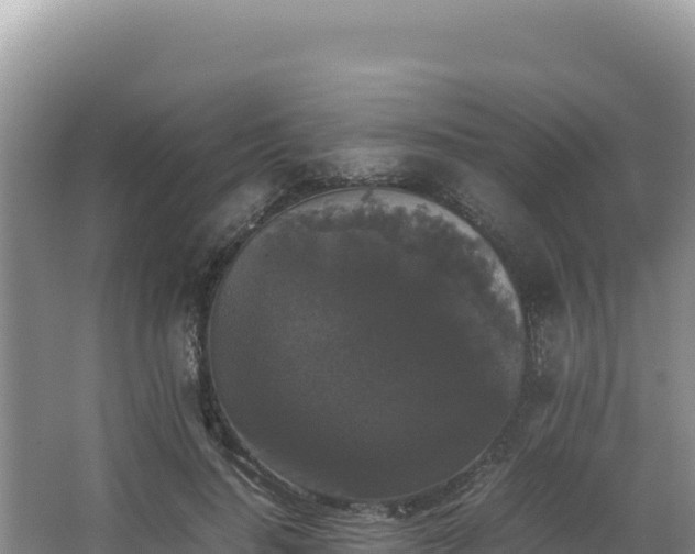 X0000062850644200601171512