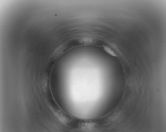 X0000062850645200601171512