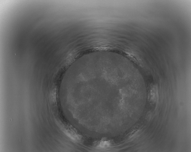 X0000062850647200601171512