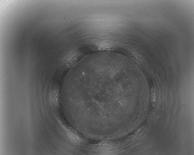 X0000062850648200601171512