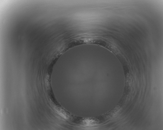 X0000062850650200601171512