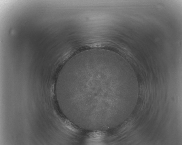 X0000062850652200601171512