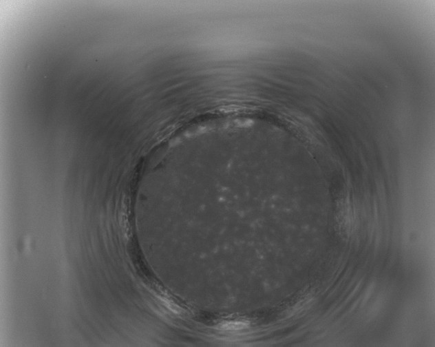 X0000062850653200601171512