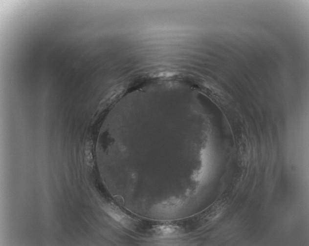 X0000062850654200601171512