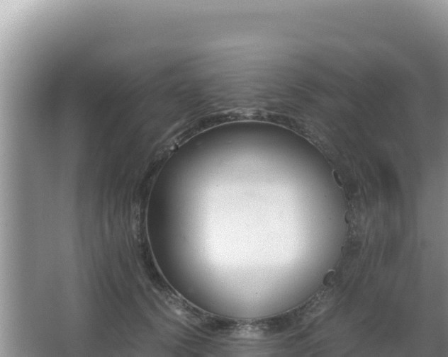 X0000062850656200601171512