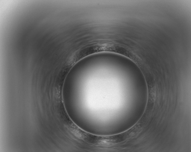 X0000062850657200601171512