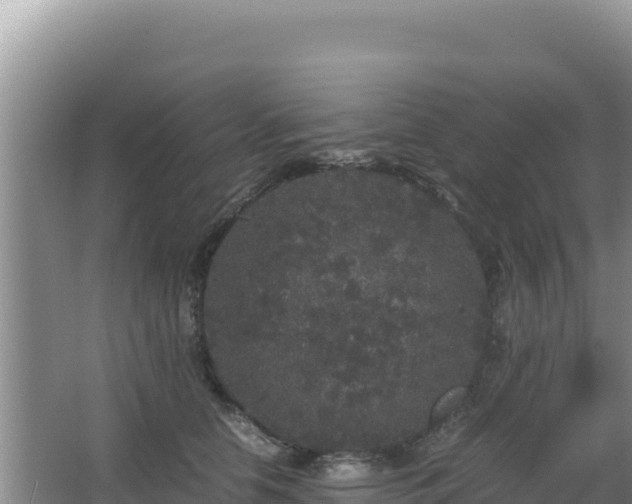 X0000062850658200601171512