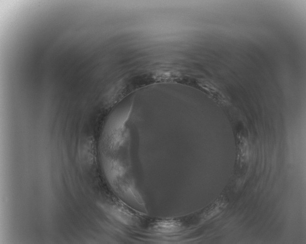 X0000062850659200601171512