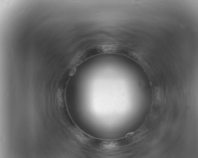 X0000062850667200601171512