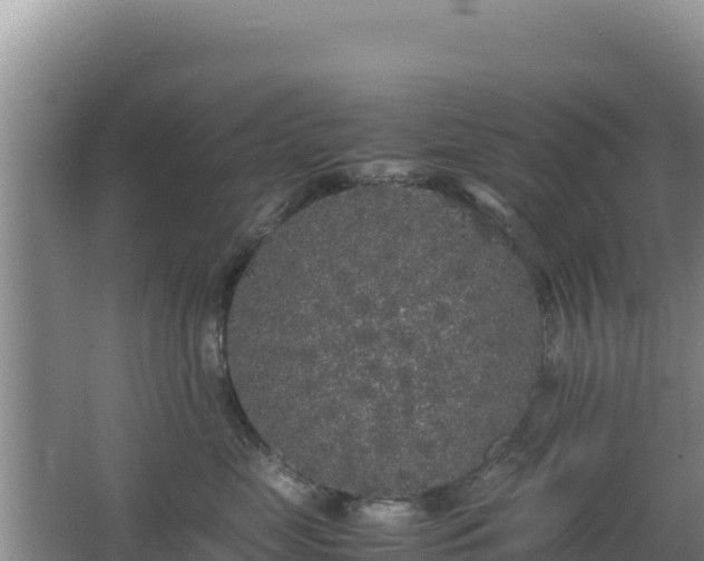 X0000062850669200601171513