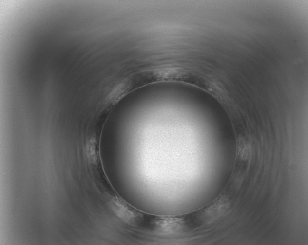 X0000062850670200601171513