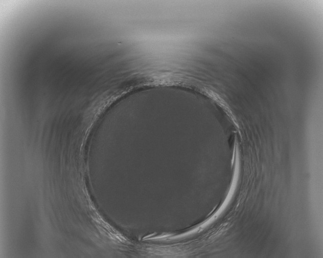 X0000062850673200601171512