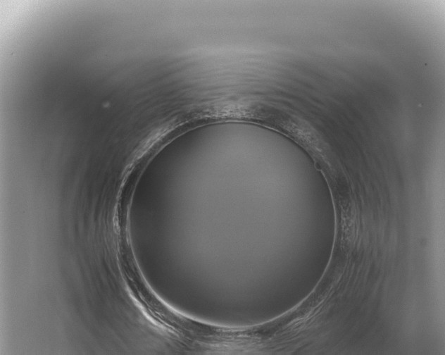 X0000062850674200601171512